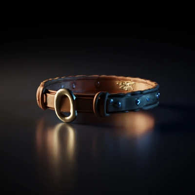 Leather dog collar with decorative elements.