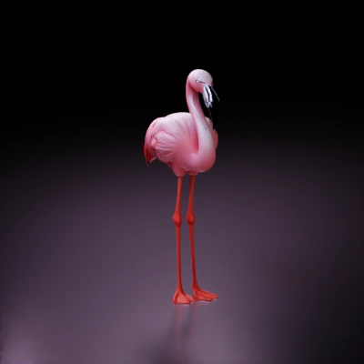 pink flamingo standing gracefully.