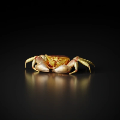 Crab with boxy shell, extended legs, frontal claws and eyes