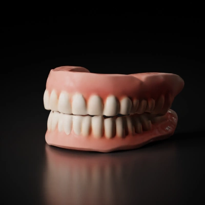 Set of human dentures, upper and lower teeth.