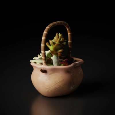 Succulent plants in a ceramic basket, decorative ornament.