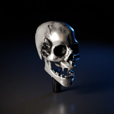 Human skull, detailed, skeletal structure.