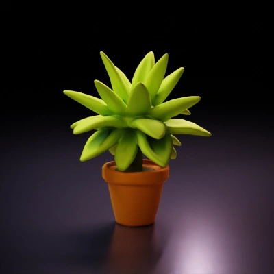 Potted succulent plant with thick leaves.