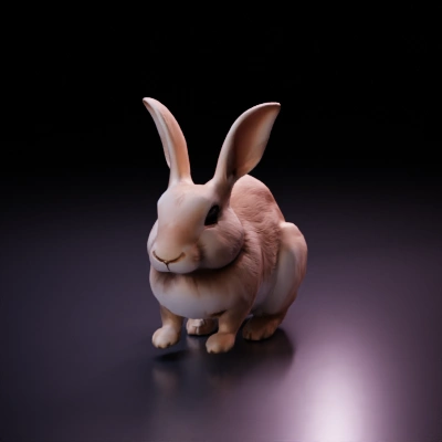 Small cute rabbit.