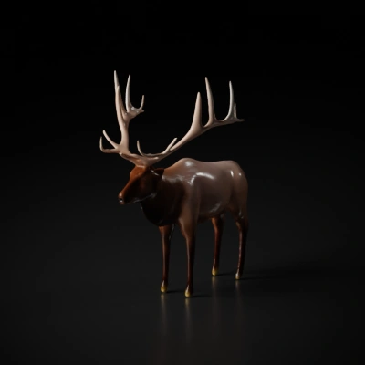 Elk with large antlers, forest background.