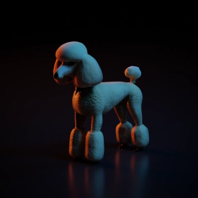 Poodle dog, standard groom, puffy legs.