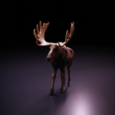 Large bull moose with imposing antlers.