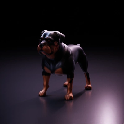 Muscular dog with cropped ears.