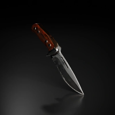 Combat knife, single blade, ergonomic handle.