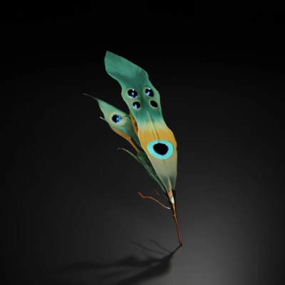 peacock feather.
