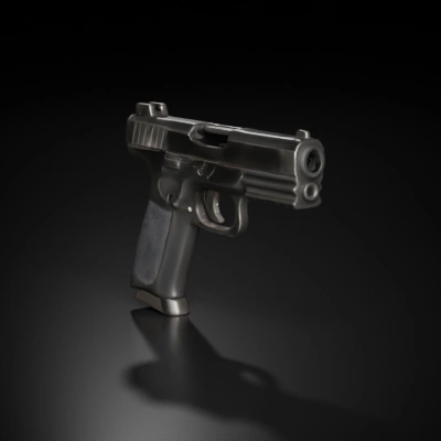 Pistol, standard sidearm, modern design.