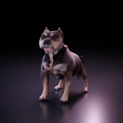 Stocky bulldog, muscular build, short legs, floppy ears.