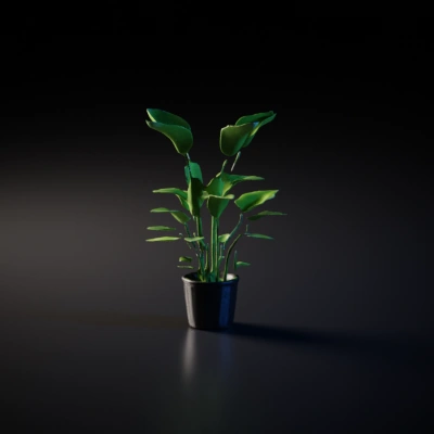 Potted indoor plant, realistic, decorative.