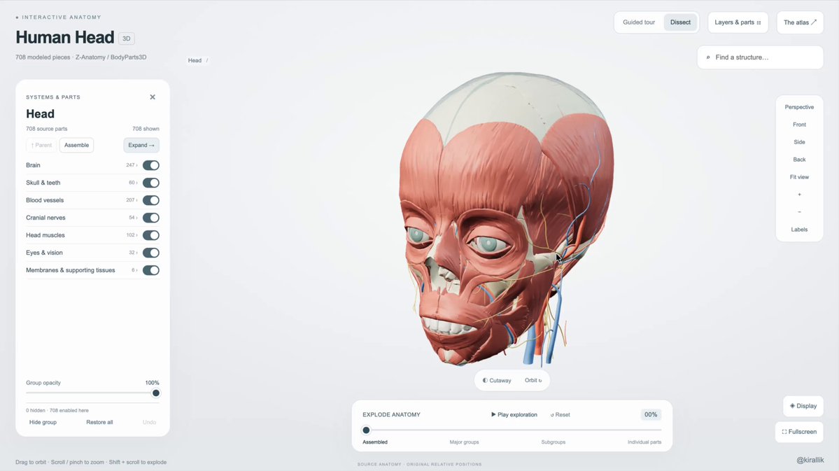 Interactive 3D atlas of the human head and brain
