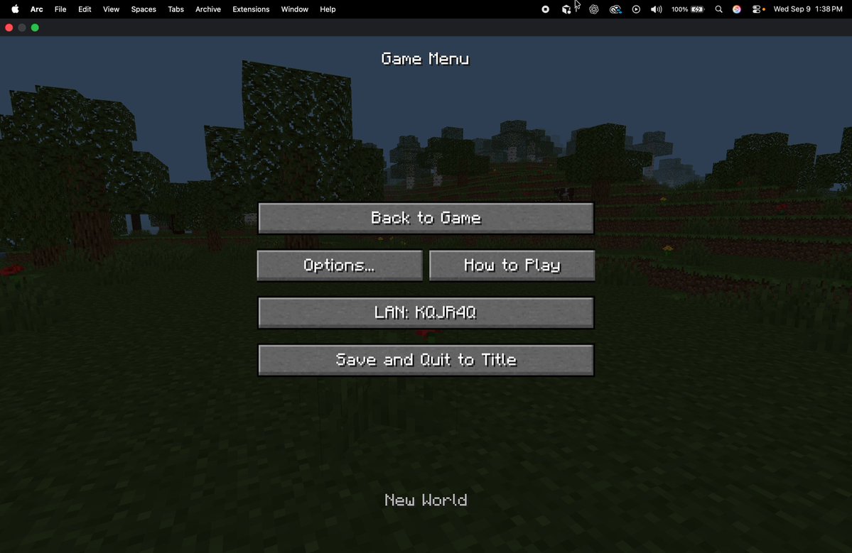 Minecraft clone with multiplayer